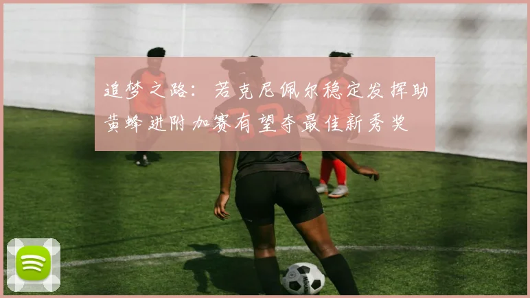 追梦之路：若克尼佩尔稳定发挥助黄蜂进附加赛有望夺最佳新秀奖